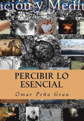 Percibir lo esencial 1