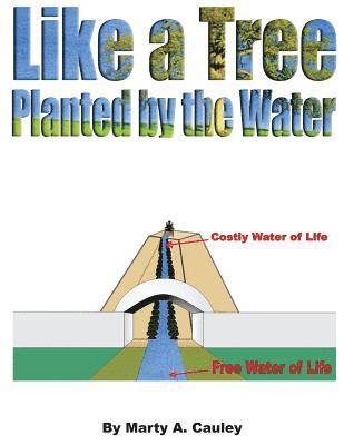 bokomslag Like a Tree Planted by the Water: A Study on Psalm 1