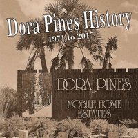 bokomslag History of Dora Pines: History of Dora Pines Estates