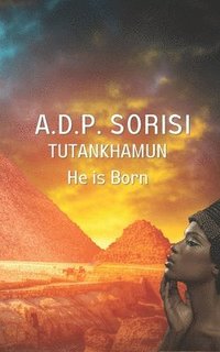 bokomslag Tutankhamun: He Is Born