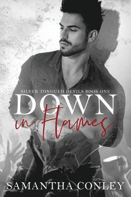 Samantha Conley, Dana Hook - Down in Flames, Häftad