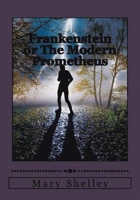 bokomslag Frankenstein or The Modern Prometheus