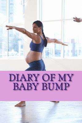 Diary of My Baby Bump: Volume 2 1