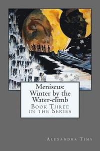 bokomslag Meniscus: Winter by the Water-climb