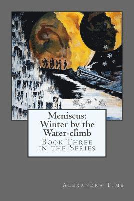 Meniscus: Winter by the Water-climb 1