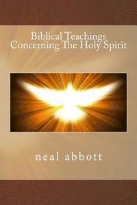 bokomslag Biblical Teachings Concerning The Holy Spirit