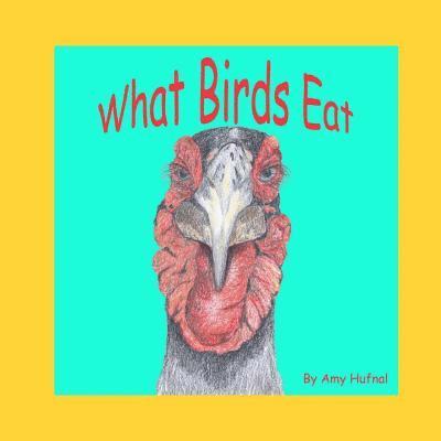 What Birds Eat 1