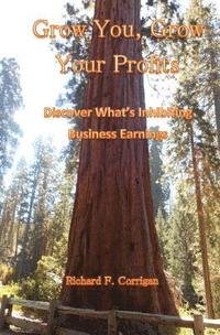 bokomslag Grow You, Grow Your Profits: Discover What's Inhibiting Business Earnings