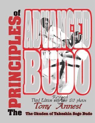 bokomslag The Principles of Advanced Budo