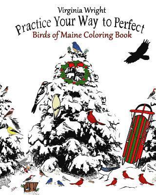 Virginia Wright - Practice Your Way to Perfect: Birds of Maine Coloring Book, Häftad