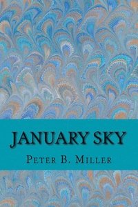 bokomslag January Sky