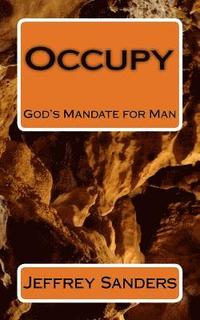 bokomslag Occupy: God's Mandate for Man
