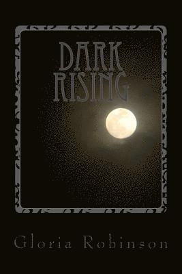 bokomslag Dark Rising