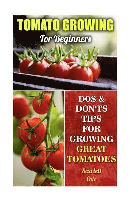 bokomslag Tomato Growing For Beginners: Dos & Don'ts Tips For Growing Great Tomatoes