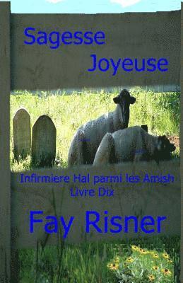 bokomslag Sagesse Joyeuse: Infermiere Hal parmi les Amish