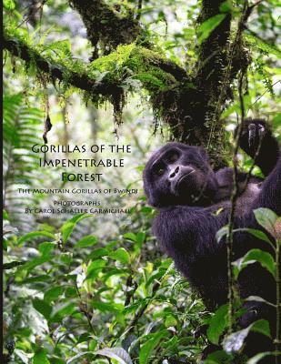 Gorillas of the Impenetrable Forest: The Mountain Gorillas of Bwindi 1