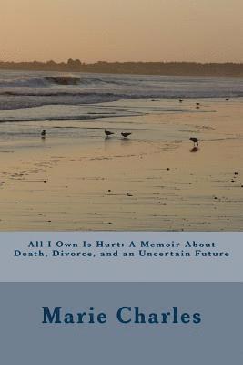 bokomslag All I Own Is Hurt: A Memoir About Death, Divorce, and an Uncertain Future