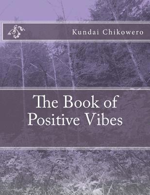 bokomslag The Book of Positive Vibes