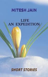 bokomslag LIFE - An Expedition: Short Stories