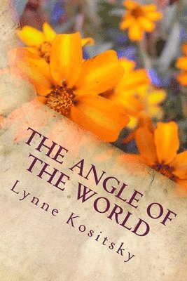 Lynne Kositsky - The Angle of the World, Häftad. Tillgänglighet: Lägg i varukorg