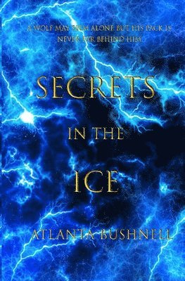 Secrets in the Ice 1