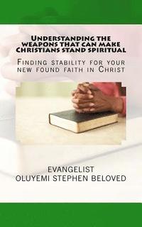 bokomslag Understanding the weapons that can make Christians stand spiritual: Finding stability for your new found faith in Christ