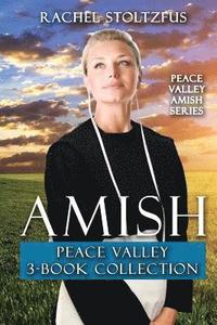 bokomslag Amish Peace Valley 3-Book Collection