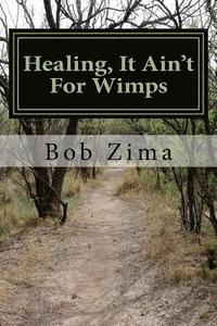 bokomslag Healing, It Ain't for Wimps