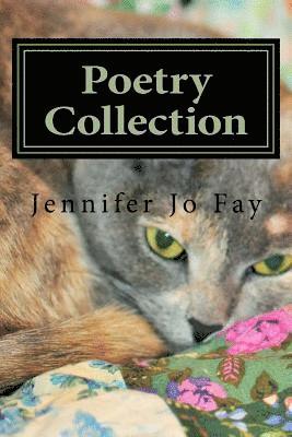 Jennifer Jo Fay - Poetry Collection, Häftad