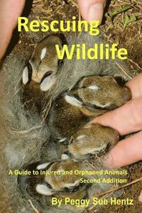 bokomslag Rescueing Wildlife: A Guide to Helping Injured & Orphaned Animals