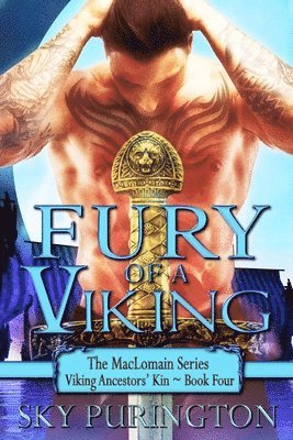 bokomslag Fury of a Viking