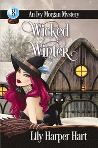 bokomslag Wicked Winter