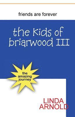 bokomslag The Kids of Briarwood III: The Amazing Journey