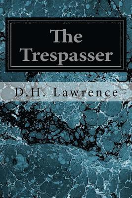 bokomslag The Trespasser