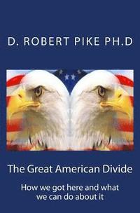bokomslag The Great American Divide: How we got here and what we can do about it