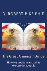 bokomslag The Great American Divide: How we got here and what we can do about it