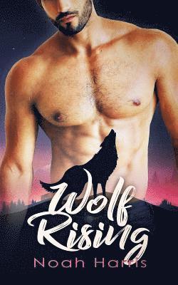 bokomslag Wolf Rising