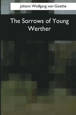 bokomslag The Sorrows of Young Werther