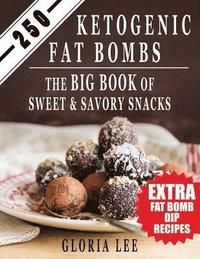 bokomslag 250 Ketogenic Fat Bombs: The Big Book Of Sweet and Savory Snacks (Extra Fat Bomb Dip Recipes)