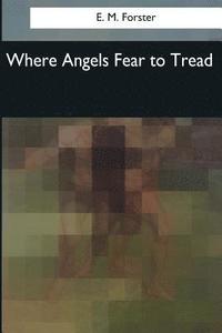 bokomslag Where Angels Fear to Tread