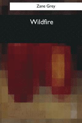 bokomslag Wildfire