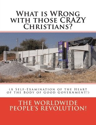 What is WRong with those CRAZY Christians?: (A Self-Examination of the Heart of the Body of Good Government!) 1