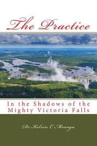 bokomslag The Practice: In the Shadows of the Mighty Victoria Falls