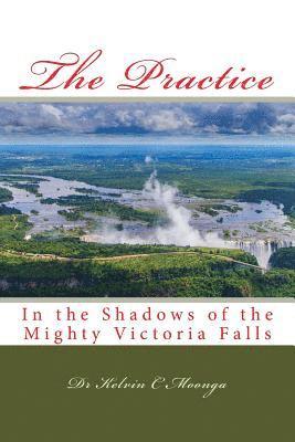 The Practice: In the Shadows of the Mighty Victoria Falls 1