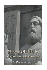 bokomslag Why Armenia Should Be Free: Armenia's Role in the Present War