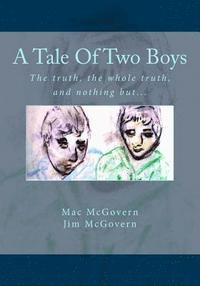 bokomslag A Tale Of Two Boys: The truth, the whole truth, and nothing but...