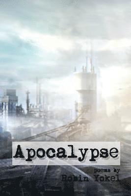 bokomslag Apocalypse