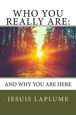 Who You Really Are: : And Why You Are Here 1