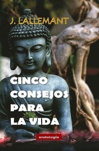 bokomslag Cinco consejos para la vida