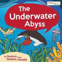bokomslag The Underwater Abyss
